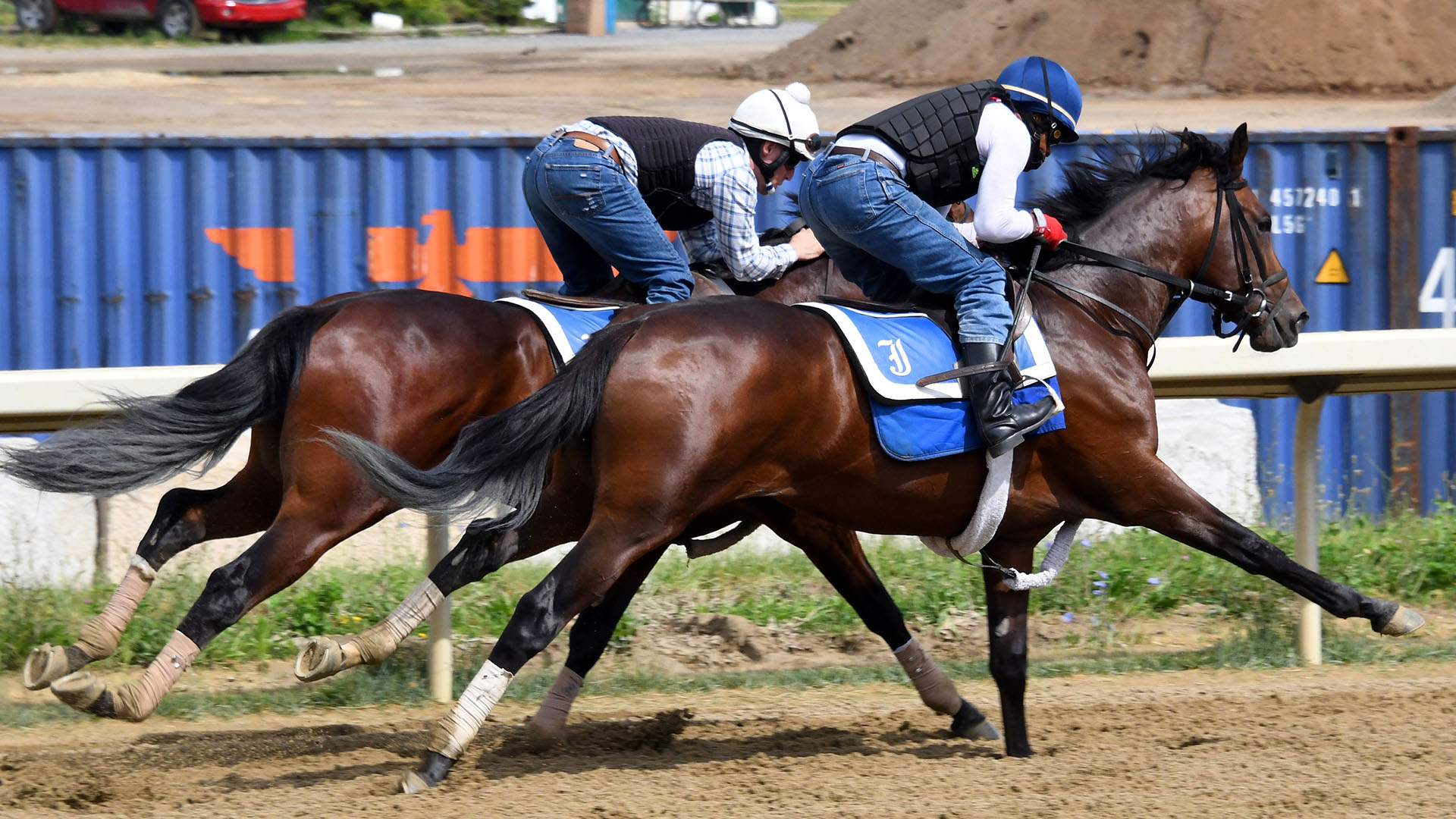 Lunar Illusion at Belmont Park.