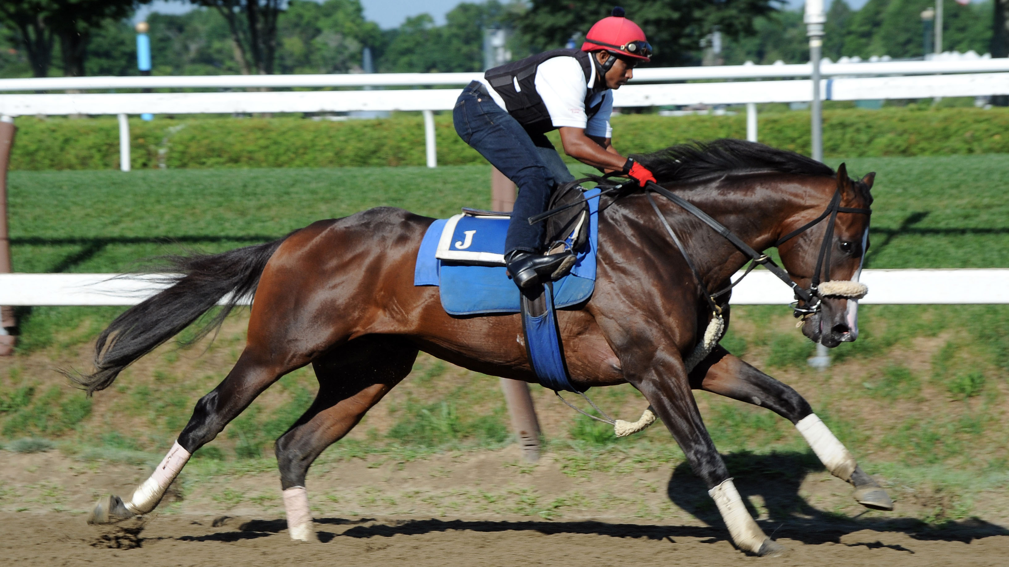 Adulator