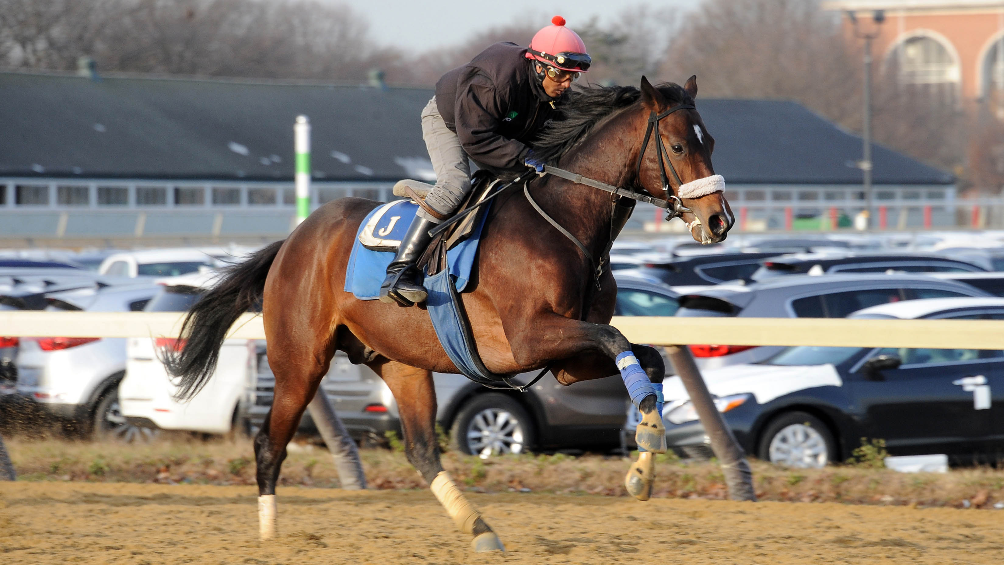 Czech Rate galloping at Belmont Park.