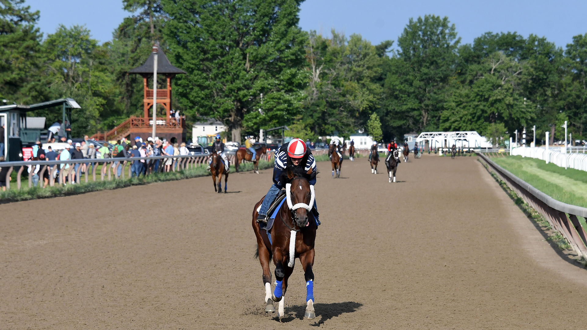 Weather Wiz galloping at Saratoga.