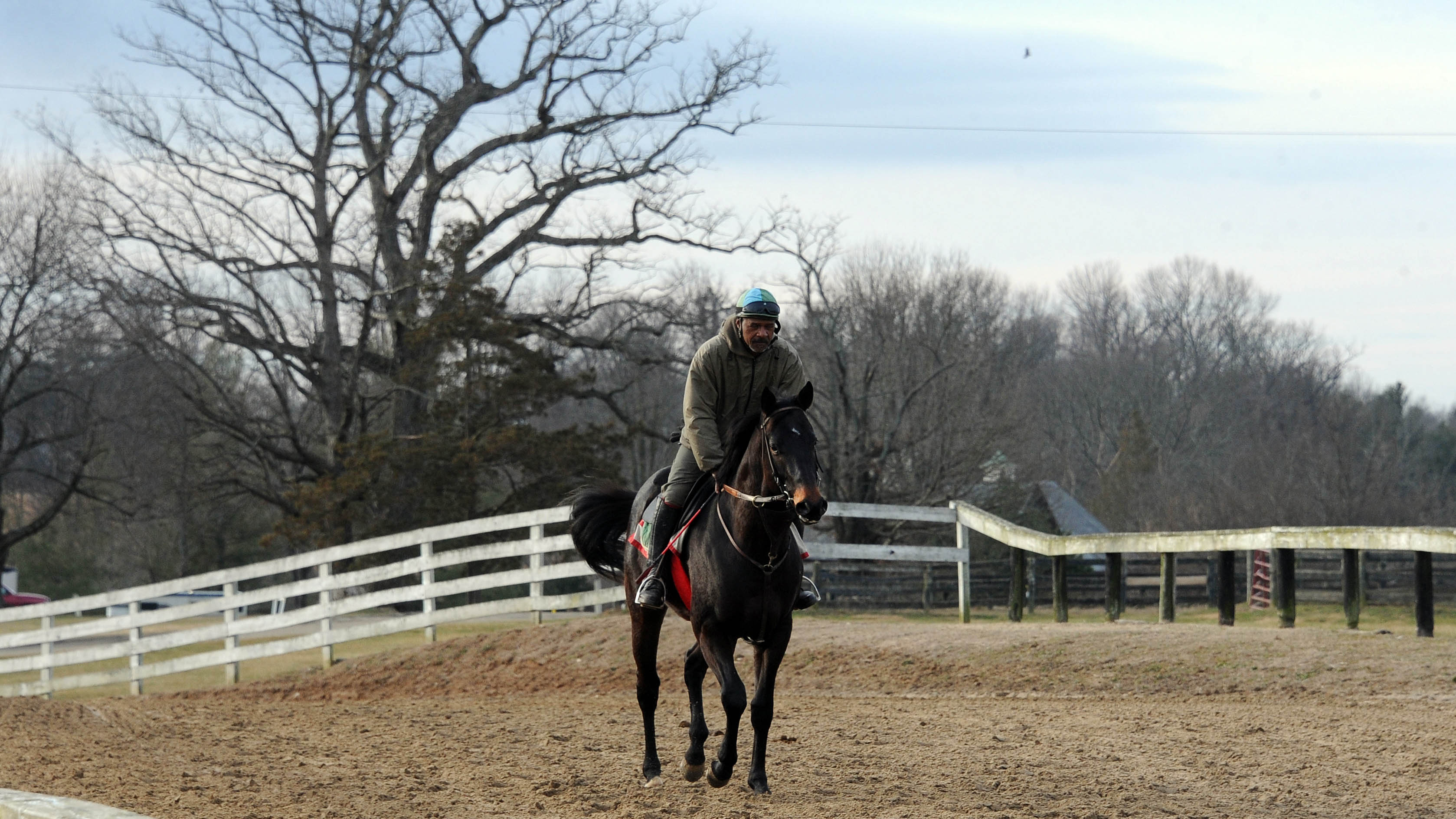 Osterley heads to the historic Middleburg training track.