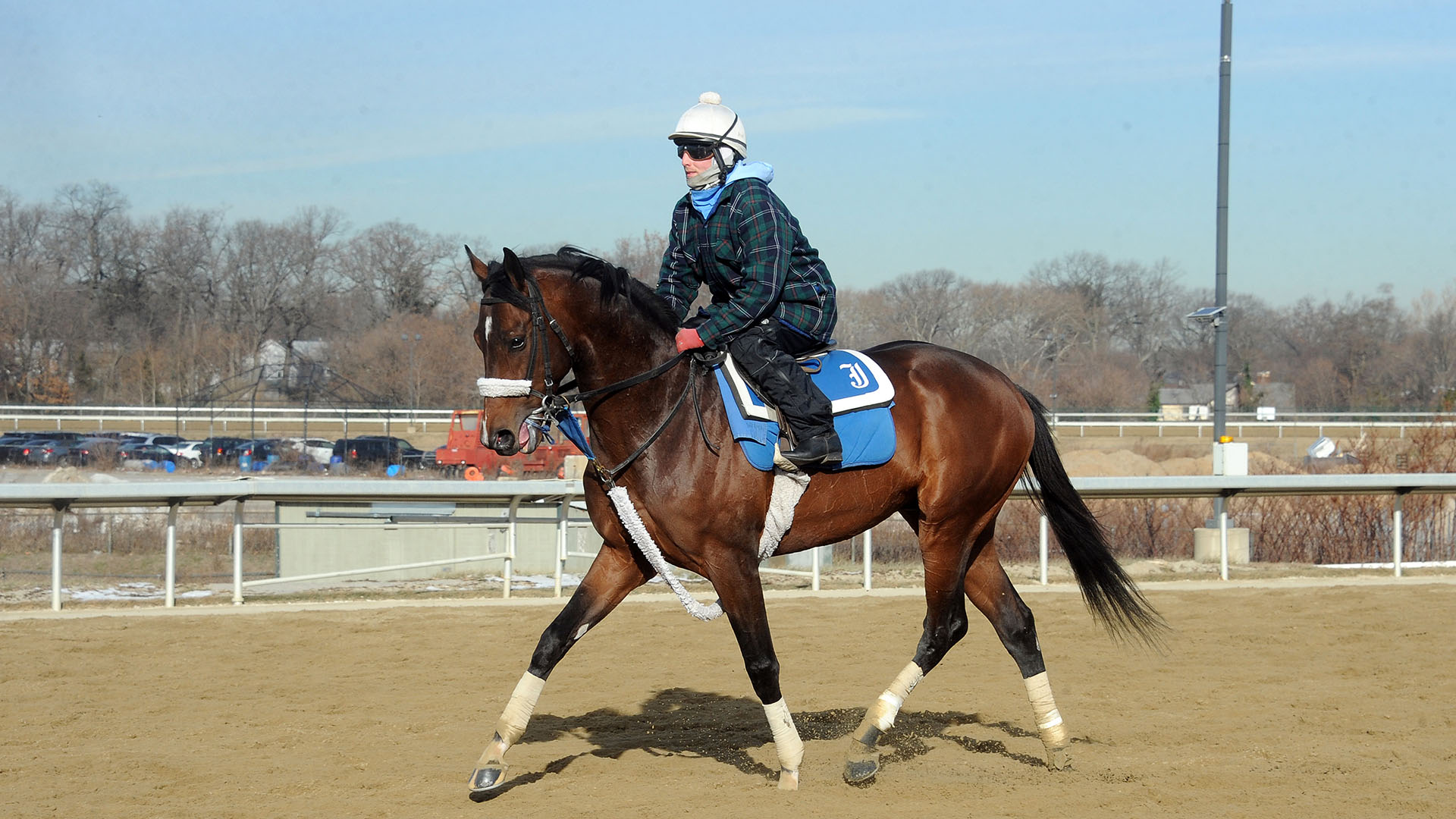 Czech Rate jogs at Belmont Park.
