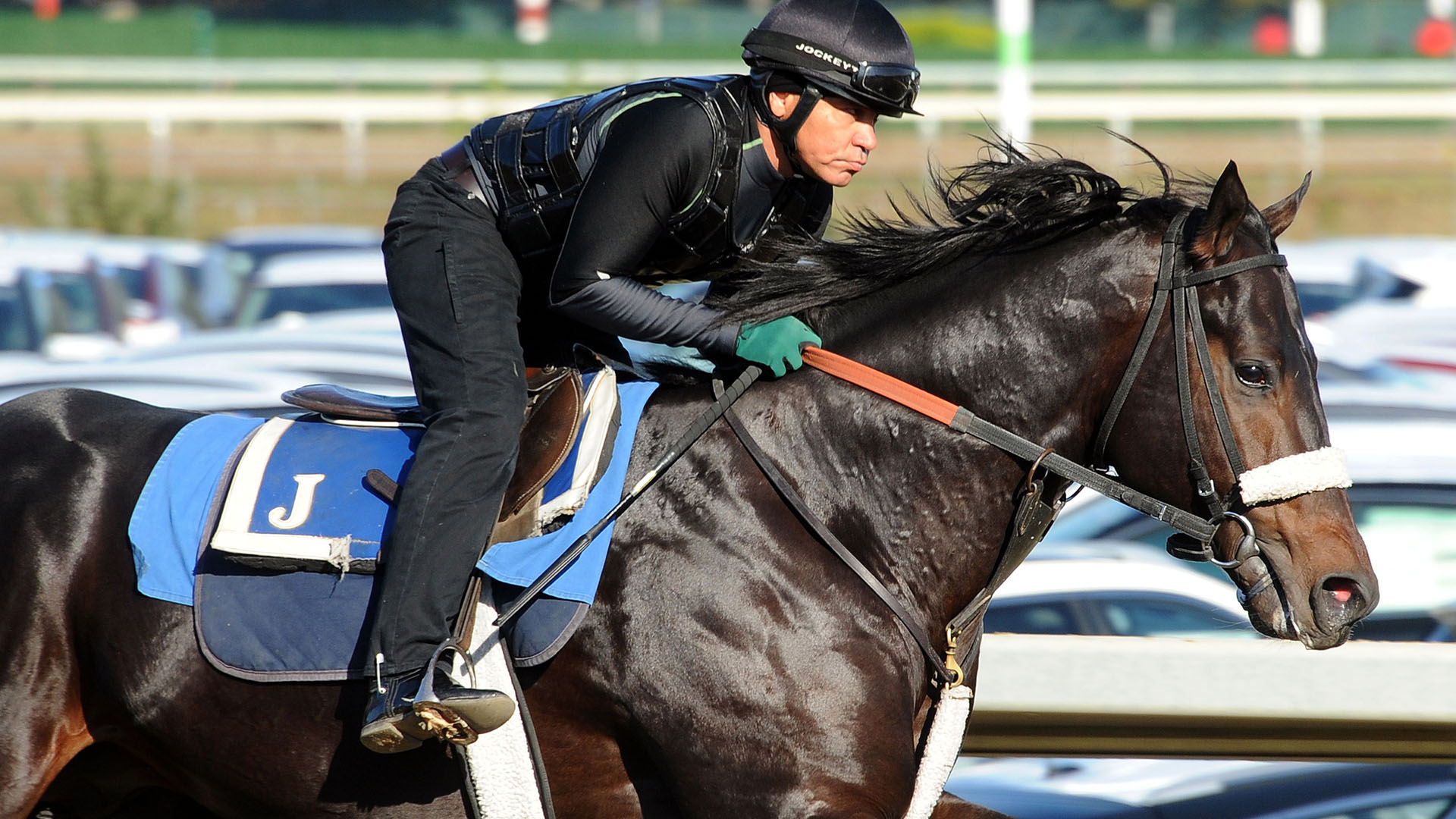 Osterley gallops at Belmont Park.
