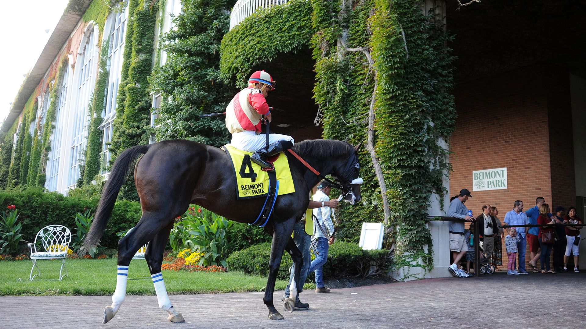 Securitiz exits the paddock at Belmont Park prior to his victory in the Seattle Slew Stakes.