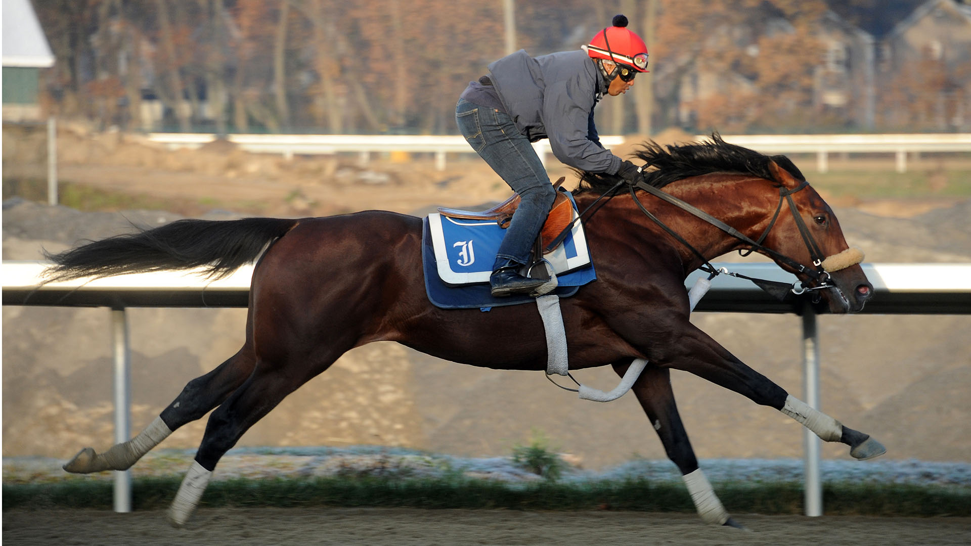Union Ranks breezes at Belmont Park.