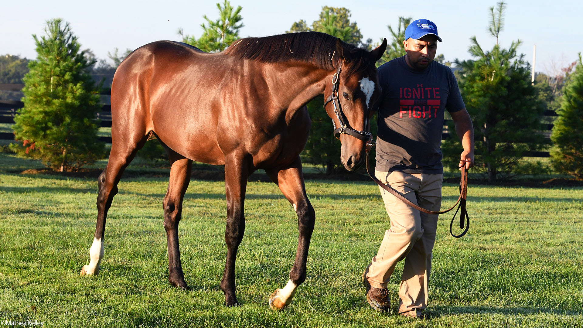 Honor Code - Heir Worthy, by Medaglia d'Oro