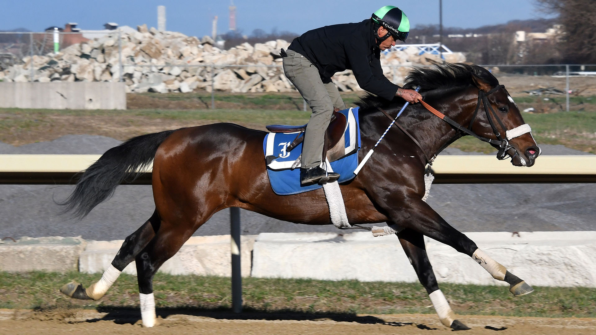 Mintz (Candy Ride - Multitasker), owned as part of a thoroughbred racing partnership with Centennial Farms. Shown at Belmont Park.