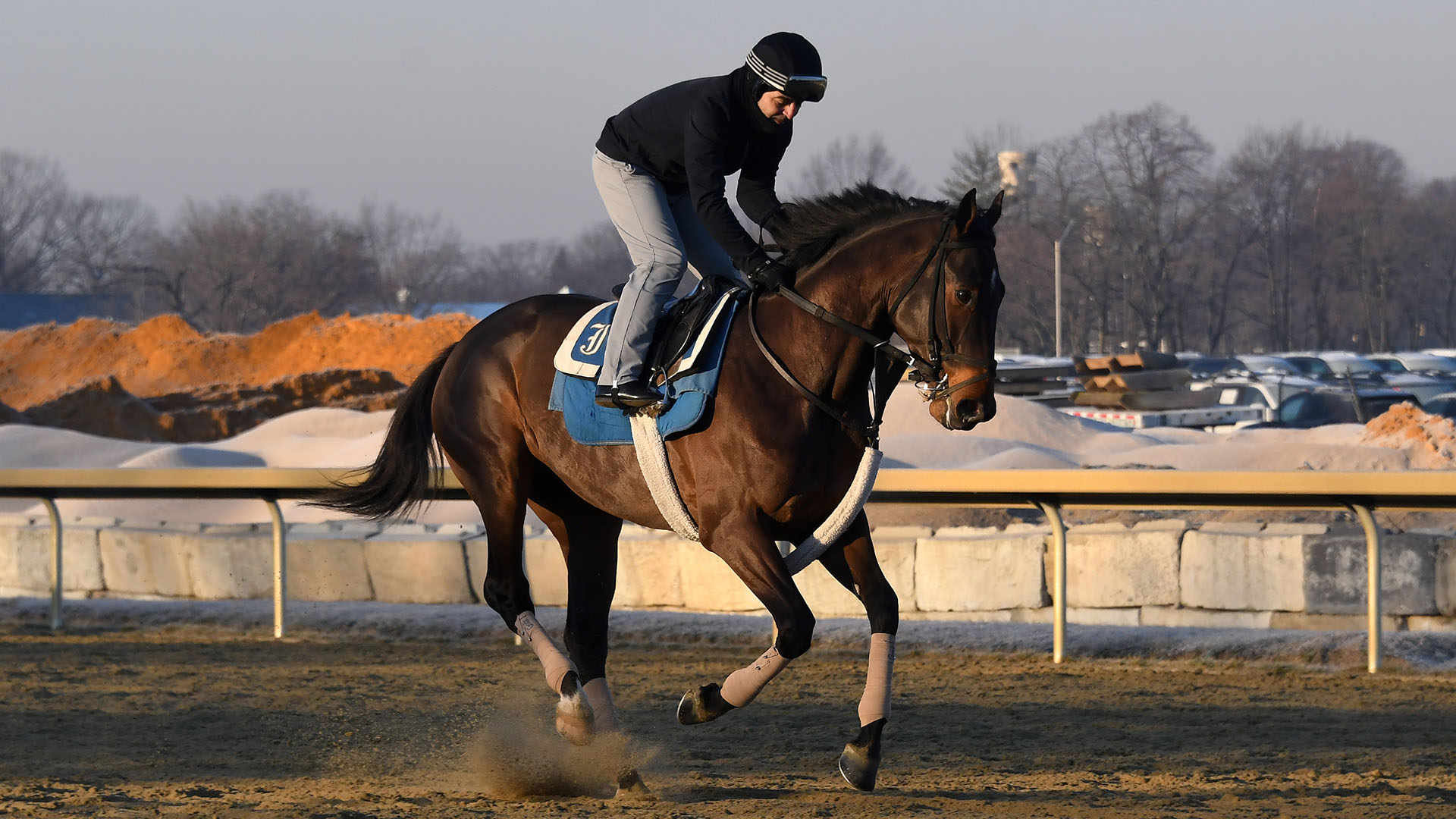 Centurion (Pioneerof the Nile - Delicate Affair) at Belmont Park.
