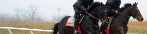 Centennial Farms current thoroughbred racing partnerships