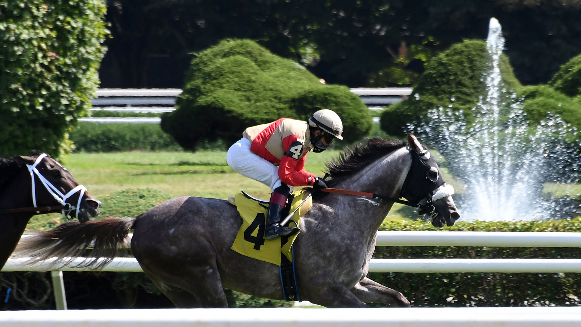Ethos (Ghostzapper - Happy Now) at Saratoga.