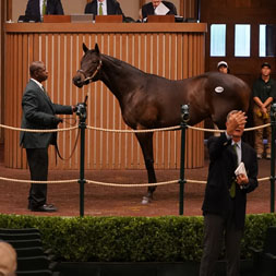 2022 Hamilton LLC thoroughbred racing partnership, comprised of four colts purchased at the Keeneland September Sale. They are sons of Not This Time. Mitole, City of Light, and Good Magic.