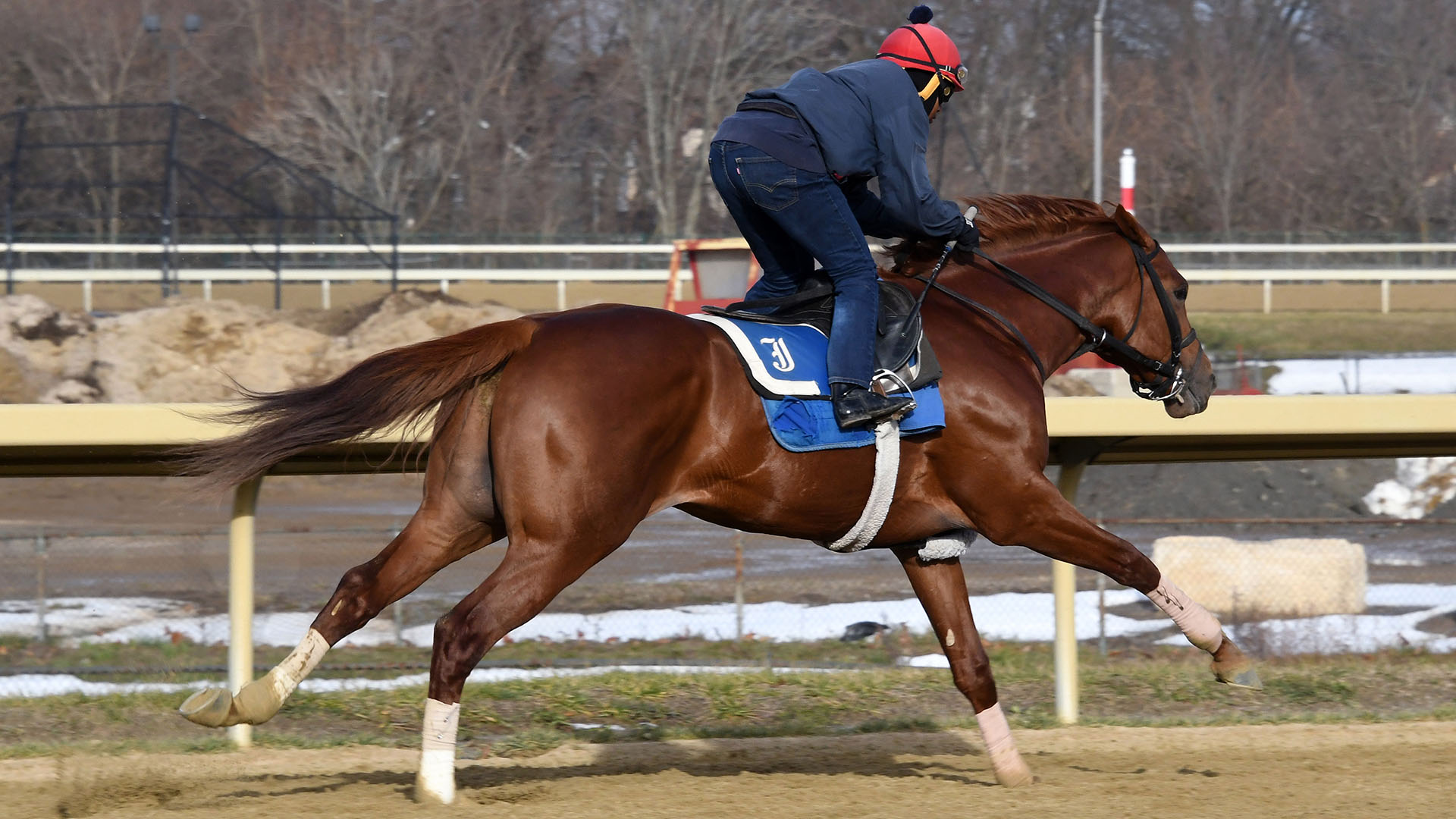 Khafre (American Pharoah - Spring Street) at Belmont Park.