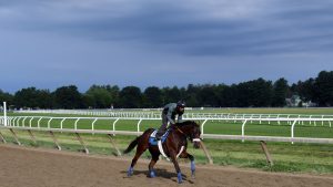 Mihos galloping at Saratoga Race Course.