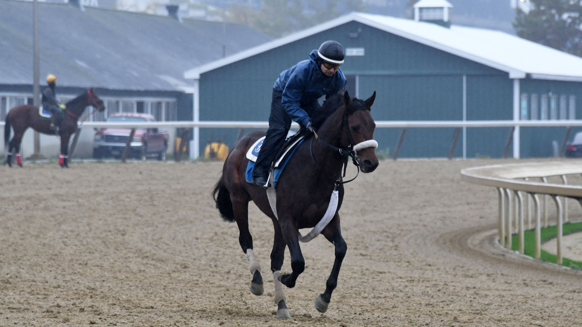 Orr (Nyquist - Tia) at Belmont Park.