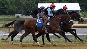 Royal Realm (Empire Maker - Zelda Rose) works at Belmont Park. Royal Realm is a member of the Cardinal, LLC thoroughbred racing partnership.