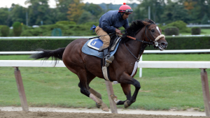 Preservationist