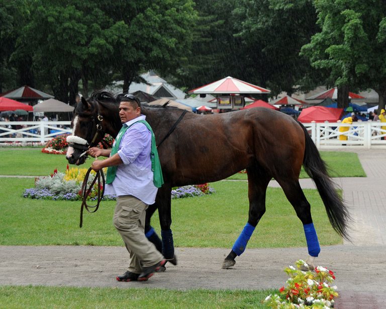Adulator Archives - Centennial Farms