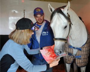 Painting for charity! Juba's Moneighs raise money for After the Finish Line and ReRun.