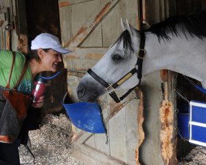 Julie Titone greets Juba at Saratoga.