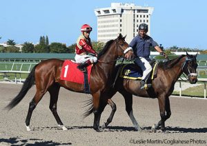 Rocketry and Nik Juarez parade to post at Gulfstream Park.