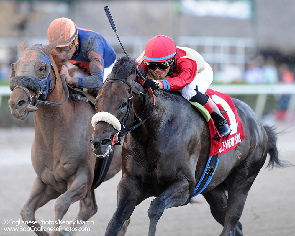 Unified holds off G1 winner Mind Your Biscuits in the G3 Gulfstream Park Sprint.
