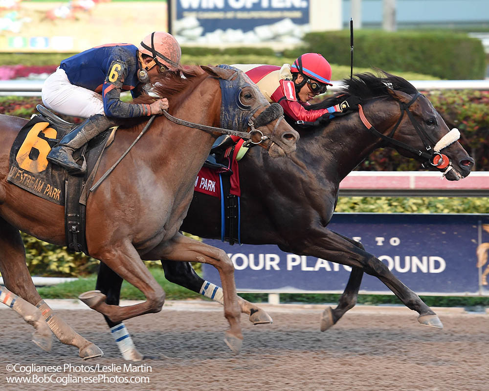 Unified holds off G1 winner Mind Your Biscuits in the G3 Gulfstream Park Sprint.