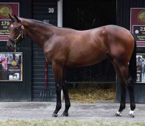 Magic Mojo, Uncle Mo - Magical Steps, by Giant's Causeway