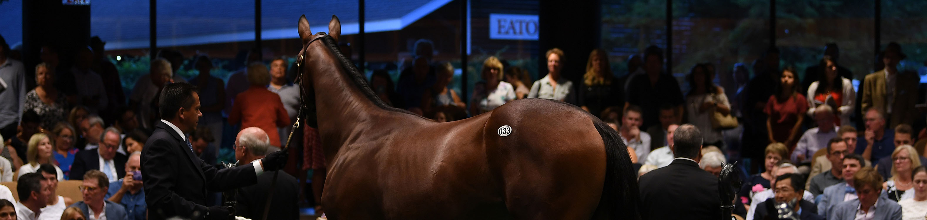 Current opportunities to join thoroughbred racing partnerships. Racehorse owner. Racing syndicate.
