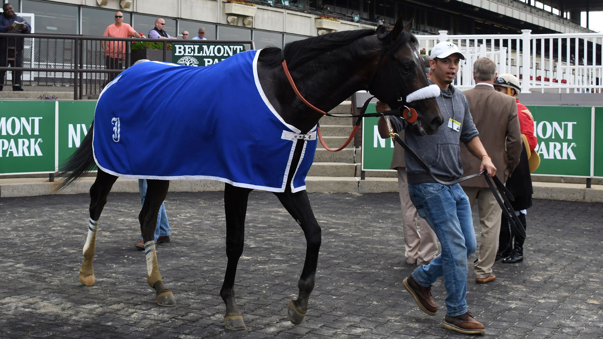 Stakes-placed Candygram (Candy Ride - Church Camp), owned as part of a thoroughbred racing partnership with Centennial Farms. Shown in the winner's circle at Belmont Park.