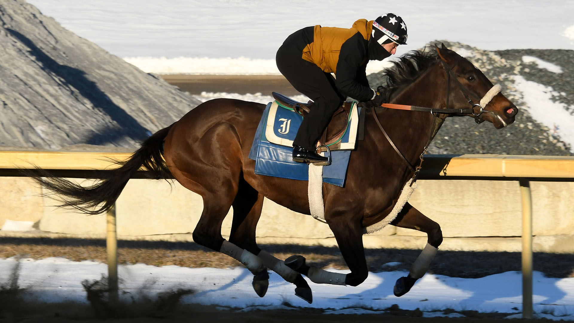 Necco, a Candy Ride colt out of the Empire Maker mare Empire Desire, purchased at Fasig-Tipton Saratoga and part of a thoroughbred racing partnership. He is shown training at Belmont Park.