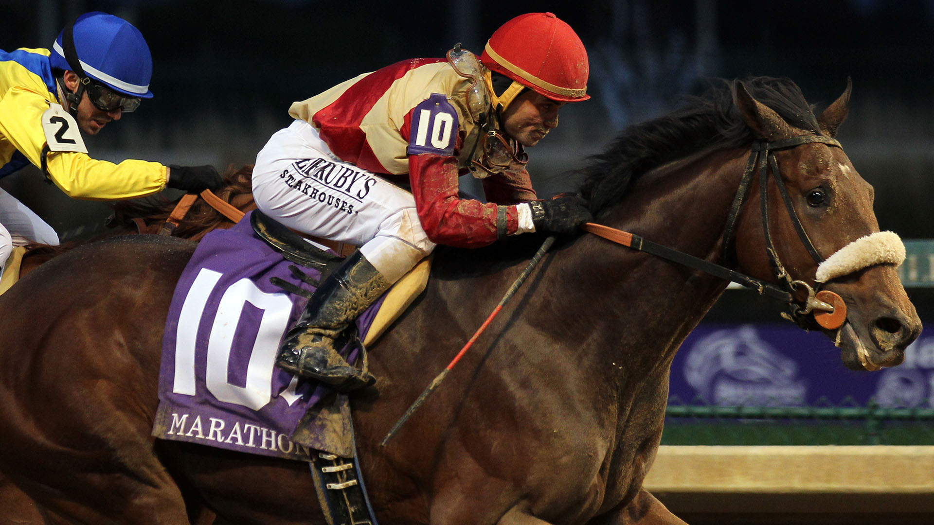 Multiple stakes winner Rocketry (Hard Spun - Smart Farming) owned as part of a thoroughbred racing partnership with Centennial Farms. Shown setting a Churchill Downs track record while taking the G2 Marathon presented by the Thoroughbred Aftercare Alliance.