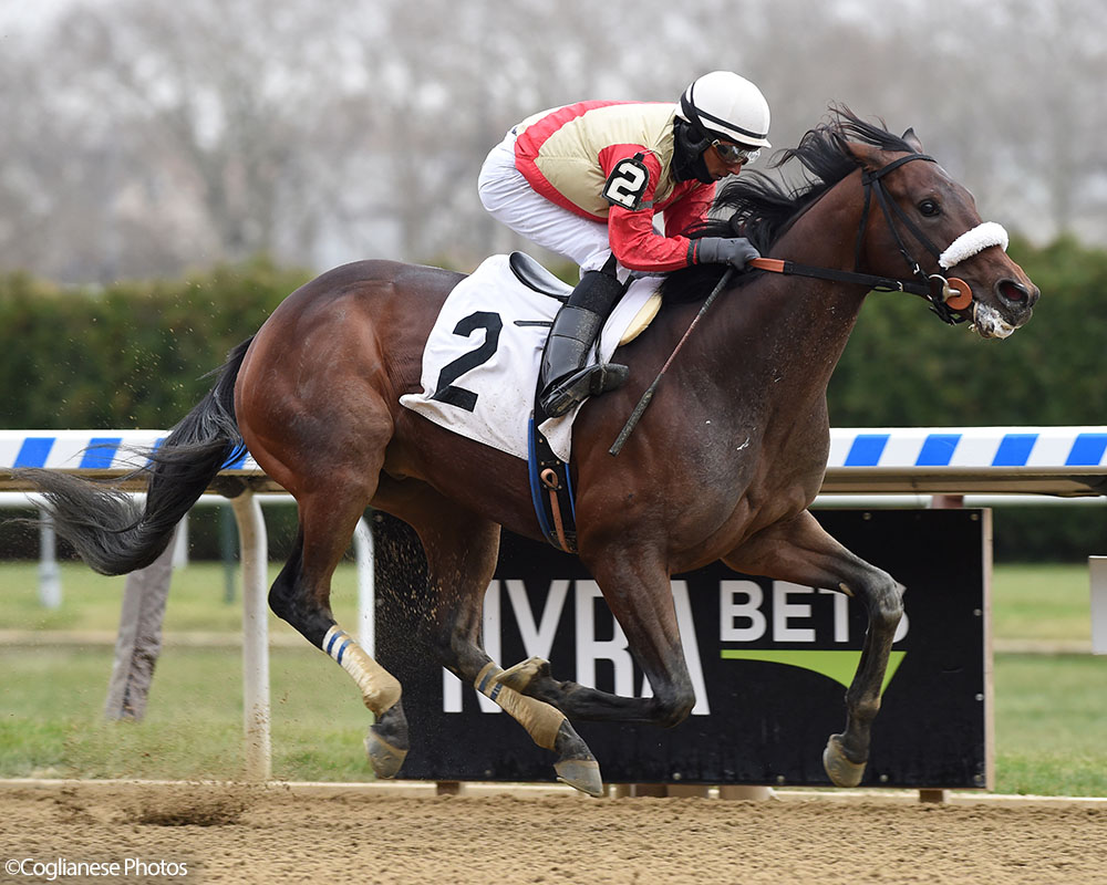 Mihos breaks his maiden at Aqueduct, earning a 