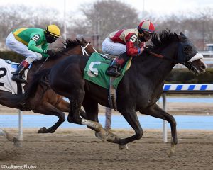 Stakes winner Securitiz wins at Aqueduct.