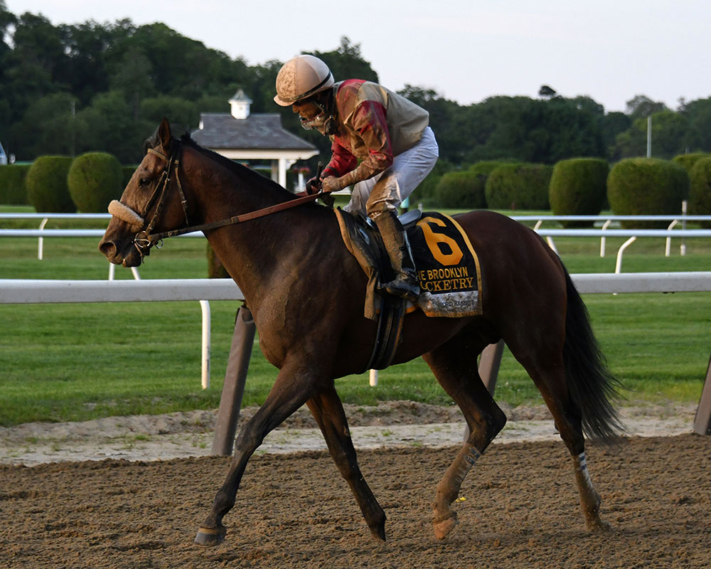 Rocketry finishes second in the prestigious G2 Woodford Reserve Brooklyn at Belmont Park for Centennial Farms thoroughbred racing partnership.