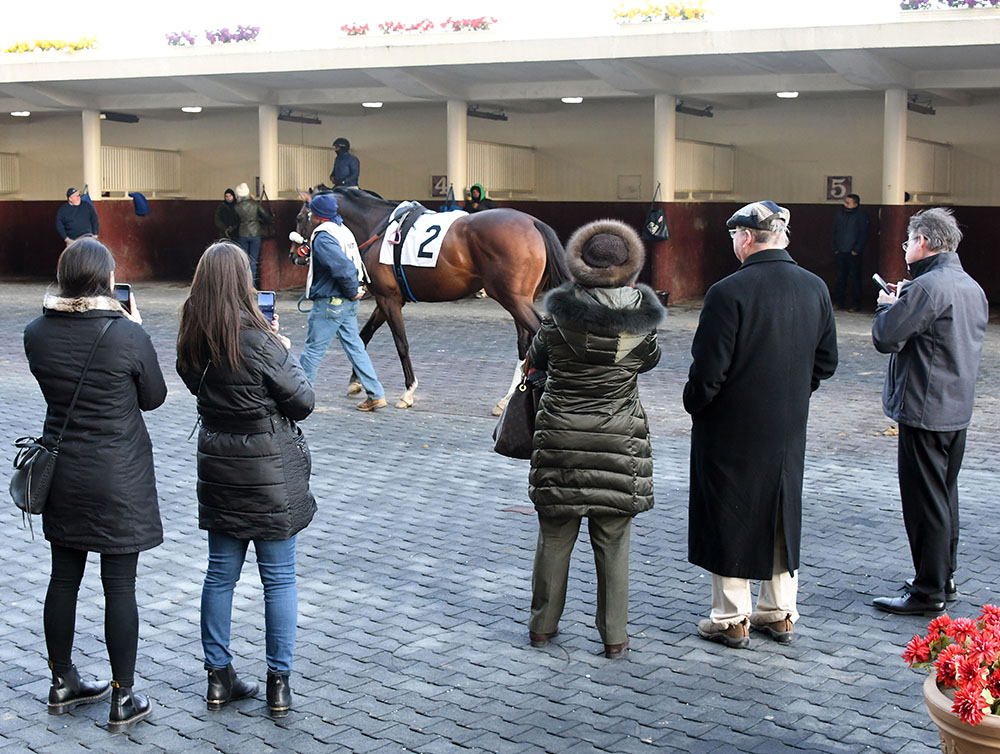 Preservationist wins at Aqueduct for Centennial Farms thoroughbred racing partnership.