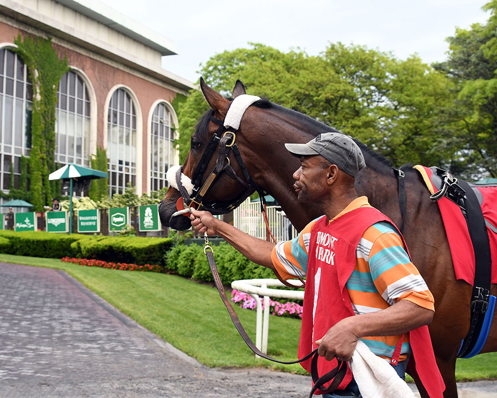 Preservationist wins at Belmont Park for Centennial Farms thoroughbred racing partnership.