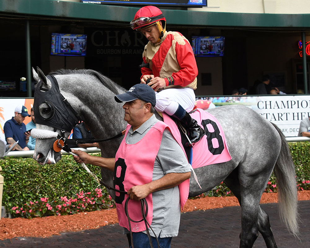 Illudere wins at Gulfstream Park for Centennial Farms thoroughbred racing partnership.