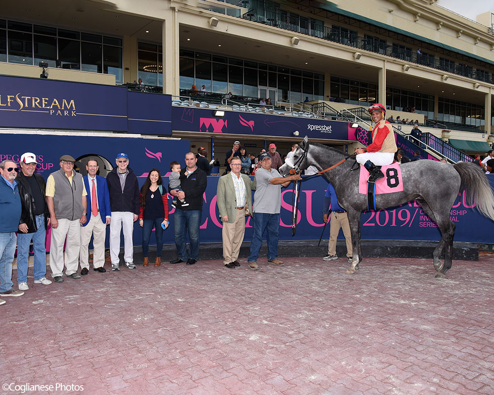 Illudere wins at Gulfstream Park for Centennial Farms thoroughbred racing partnership.