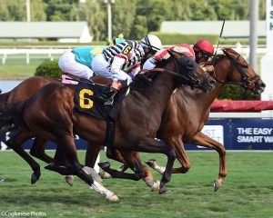 Life On Top breaks his maiden at Gulfstream Park.