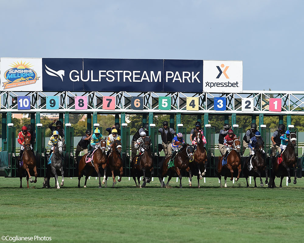 Life On Top breaks his maiden at Gulfstream Park.