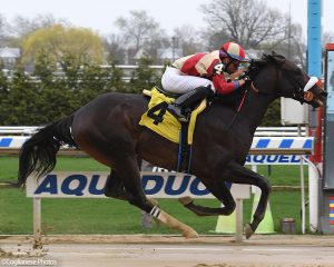 Candygram wins at Aqueduct for Centennial Farms thoroughbred racing partnership.