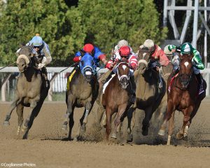 Preservationist takes the prestigious G1 Woodward at Saratoga Race Course for Centennial Farms thoroughbred racing partnership.