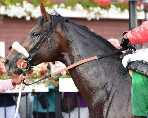 Preservationist takes the prestigious G1 Woodward at Saratoga Race Course for Centennial Farms thoroughbred racing partnership.