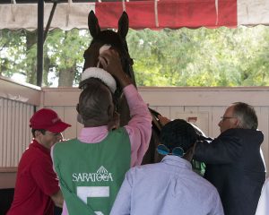 Preservationist takes the prestigious G1 Woodward at Saratoga Race Course for Centennial Farms thoroughbred racing partnership.
