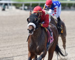 Mihos wins impressively at Gulfstream Park for Centennial Farms thoroughbred racing partnership.