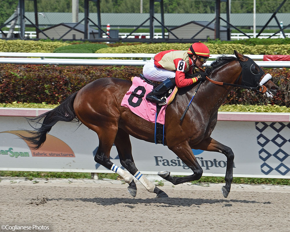 Mihos wins impressively at Gulfstream Park for Centennial Farms thoroughbred racing partnership.