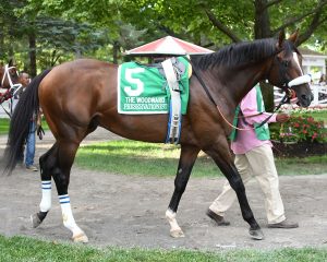 Preservationist takes the prestigious G1 Woodward at Saratoga Race Course for Centennial Farms thoroughbred racing partnership.