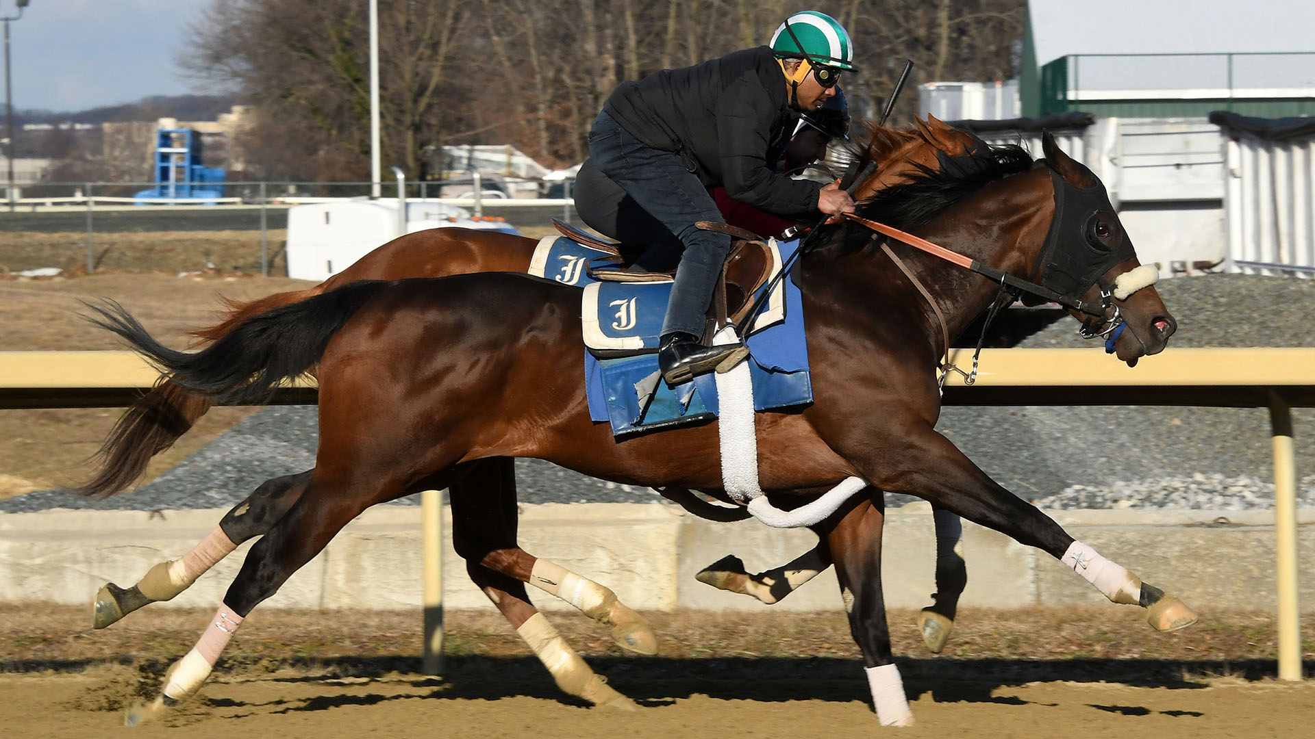 Mugged, a Street Sense colt out of the The Factor mare Skylar's Pass, purchased at Fasig-Tipton's Selected Yearling Showcase and part of a thoroughbred racing partnership. He's shown training at Belmont Park.