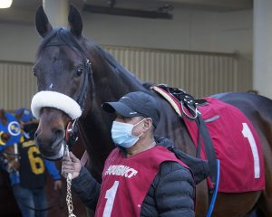 Mihos wins at Aqueduct on March 13.