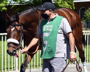 Royal Realm breaks his maiden at Belmont Park for members of his Centennial Farms thoroughbred racing partnership team.